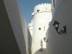 White Fort White Fort